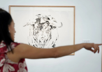 Sandra Gamboa expone 'Toros en el campo'